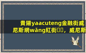 貴陽(yáng)金融街威尼斯網(wǎng)紅街，威尼斯人威尼斯人官網(wǎng)魅力與無(wú)限活力